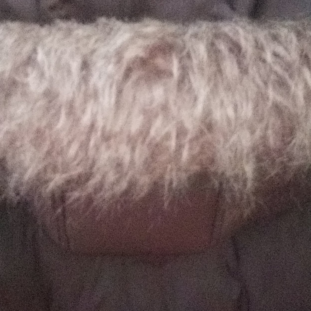Coat - Picture 3 of 4